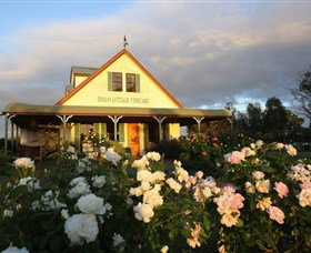 Emmas Cottage Winery - Winery Find 1