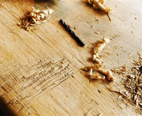 Sally Beresford Antiques/French Farmhouse Tables - Winery Find 2