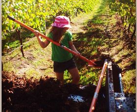 Tambo Wine - Winery Find 4