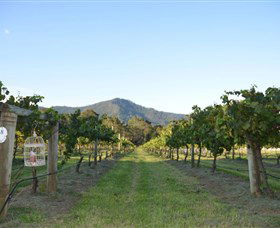 Cambewarra NSW Winery Find