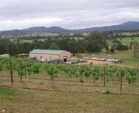 Caparra NSW Winery Find