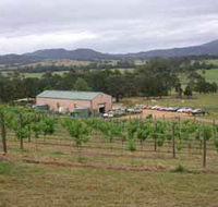 Villa d Esta Vineyard - Winery Find