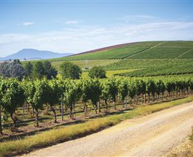 Wyena TAS Winery Find