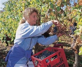 Deviot TAS Winery Find