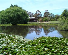 Christmas Hills Raspberry Farm - Winery Find 1