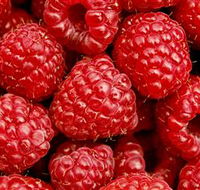 Christmas Hills Raspberry Farm - Winery Find