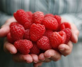 Christmas Hills Raspberry Farm - Winery Find 3