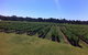 Liebich Limousines - Red Limos Wine Tours - thumb 3