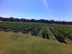 Liebich Limousines - Red Limos Wine Tours - Winery Find 3