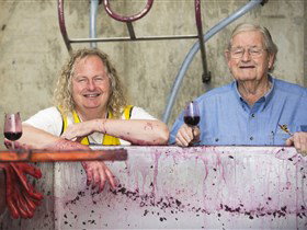 D'Arenberg Experiences - Winery Find 1