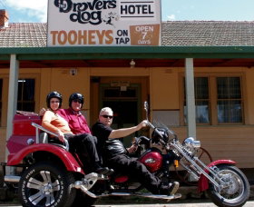 Trike Adventures - Winery Find 1