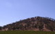 North East Vineyard Tours - thumb 3