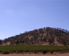 North East Vineyard Tours - Winery Find 3