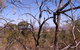 North East Vineyard Tours - thumb 8