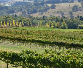 Silver Compass Tours - Winery Find 3
