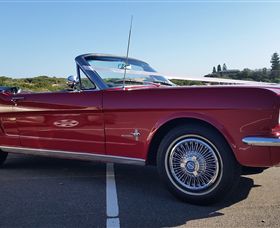 Mustang & Co - Winery Find 0