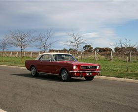 Mustang & Co - Winery Find 1