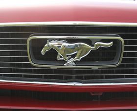 Mustang & Co - Winery Find 3