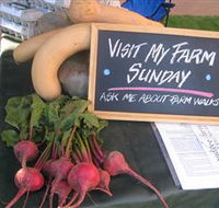 Mudgee Fine Foods Farm Walks - Winery Find