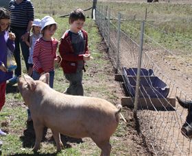 Mudgee Fine Foods Farm Walks - Winery Find 3