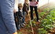 Mudgee Fine Foods Farm Walks - thumb 1