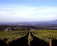 Melbourne Wine Tours