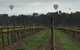 WeDrive Melbourne Private Tours & Designated Drivers - thumb 2