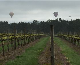 WeDrive Melbourne Private Tours & Designated Drivers - Winery Find 2