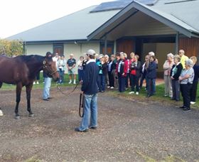 Upper Hunter Tours - Winery Find 2