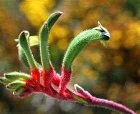 Busaround Tours - Winery Find 2