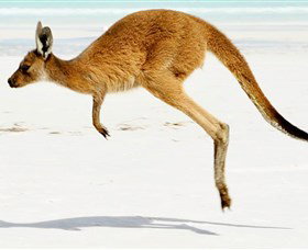 Busaround Tours - Winery Find 0