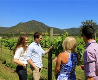 Wine Idealist Tours