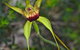 Margaret River Exposed - thumb 1
