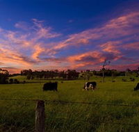 Made in Macarthur Food and Wine Tours - Winery Find