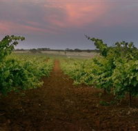 Wine Class - Winery Find