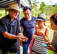 Native Australian Bush Tucker Experience - Winery Find
