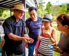 Native Australian Bush Tucker Experience - Winery Find 0