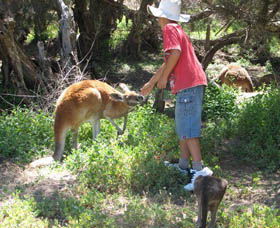 Royal Gala Tours - Winery Find 1