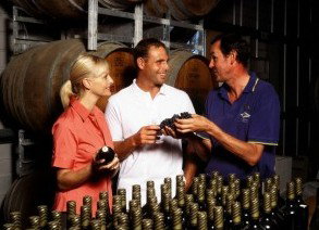 Albert River Wines - Vineyard Restaurant - Winery Find 3