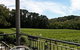 Mantons Creek Vineyard - thumb 0