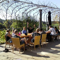 Morning Sun Estate - Winery Find 0