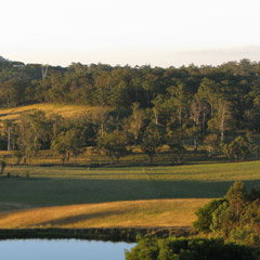 Feast At McVitty - Winery Find 0