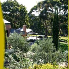 Vines Of Red Hill - Winery Find 3