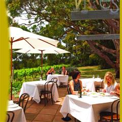 Vines Of Red Hill - Winery Find 5