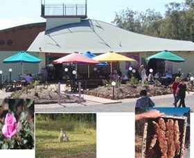 Tannum Sands QLD Winery Find