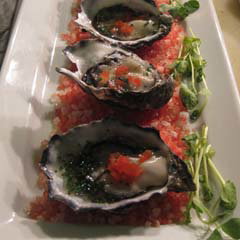 Firefly Tapas & Wine Bar, Neutral Bay - Winery Find 5