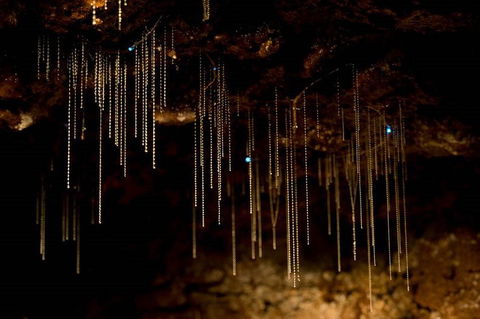 Cedar Creek Estate Restaurant - Winery Find 2