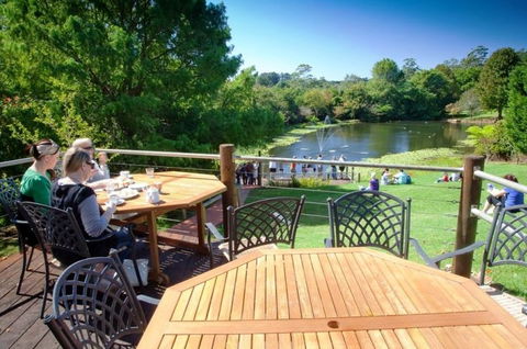 Cedar Creek Estate Restaurant - Winery Find 3