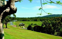 Lurleens at Sirromet Winery
