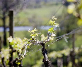 Patho VIC Winery Find